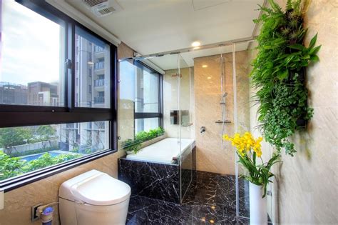 浴室植物佈置 綠萝